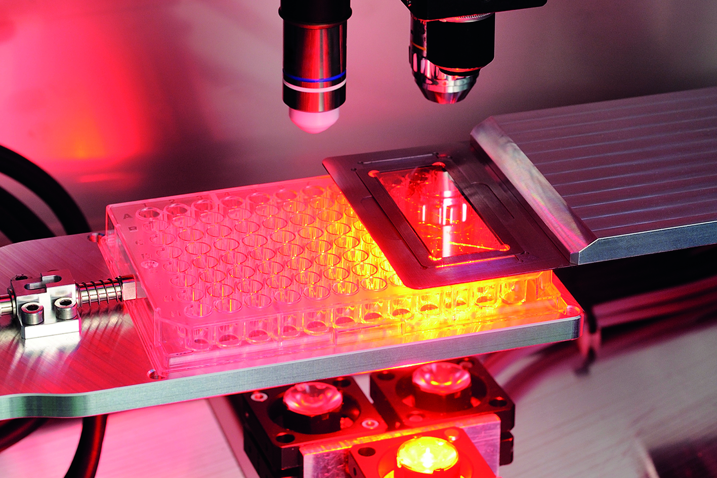 Kontaktfreie Herstellung von Zellkulturen mittels Mikroskopie und laserinduziertem Vorwärtstransfer
