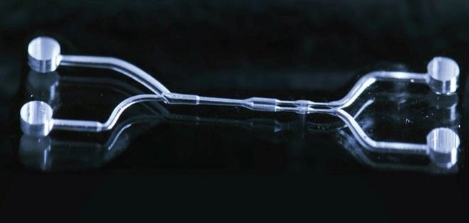 Mikrofluidischer Zellsortierer in Quarzglas.