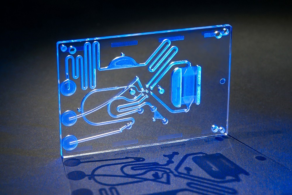 Microfluidics for the study of biological cells.